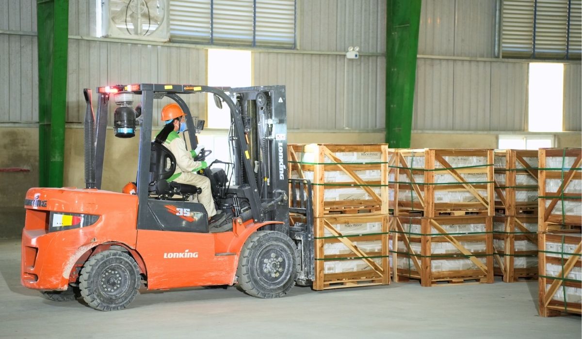 Closed-Loop Supply Chain